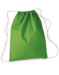 Q-Tees Q4500 Economical Sport Backpack – 6 oz. 100% Cotton Drawstring Cinch Bag