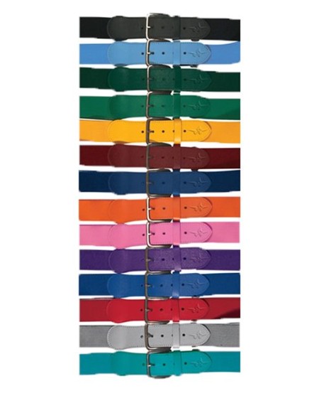 Alleson Athletic 3BBY Youth Baseball Belt – 1.5