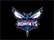 Charlotte Hornets
