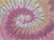 Desert Rose