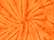 Spider Orange