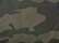 Forest Camo