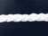 Navy/ White