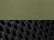 Olive/ Black