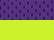 Purple/ Lime - B109