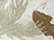 White Realtree AP