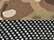 Multicam Green/ Black
