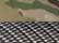Multicam Green/ Black