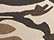 Desert Camo