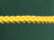 Forest Green/ Gold